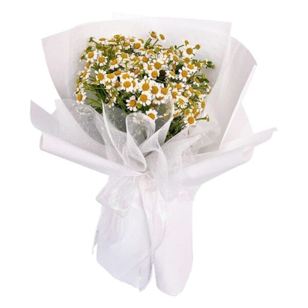 Daisies-Flower-Bouquet-Pink-Petals