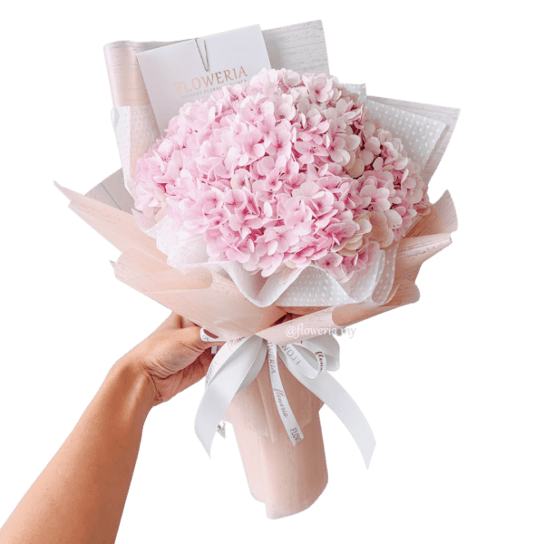 Everly-Hydrangea-Pink