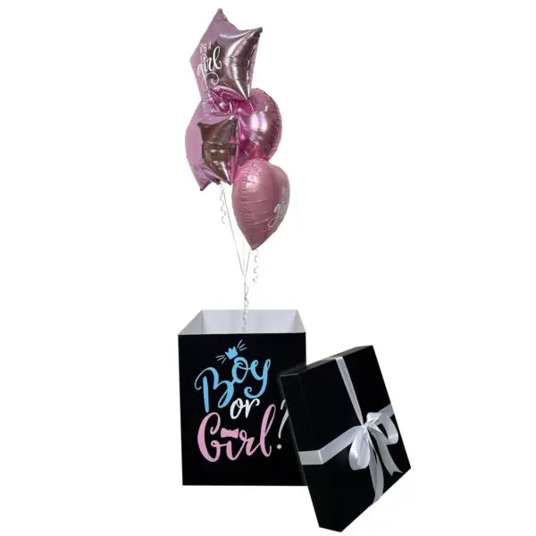 Surprise Gender Reveal In A Box - Boy or Girl
