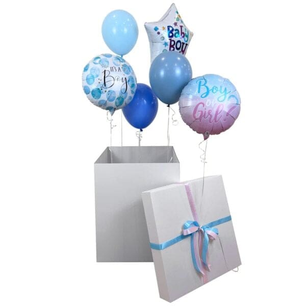 The Big Gender Reveal Surprise Box - Open